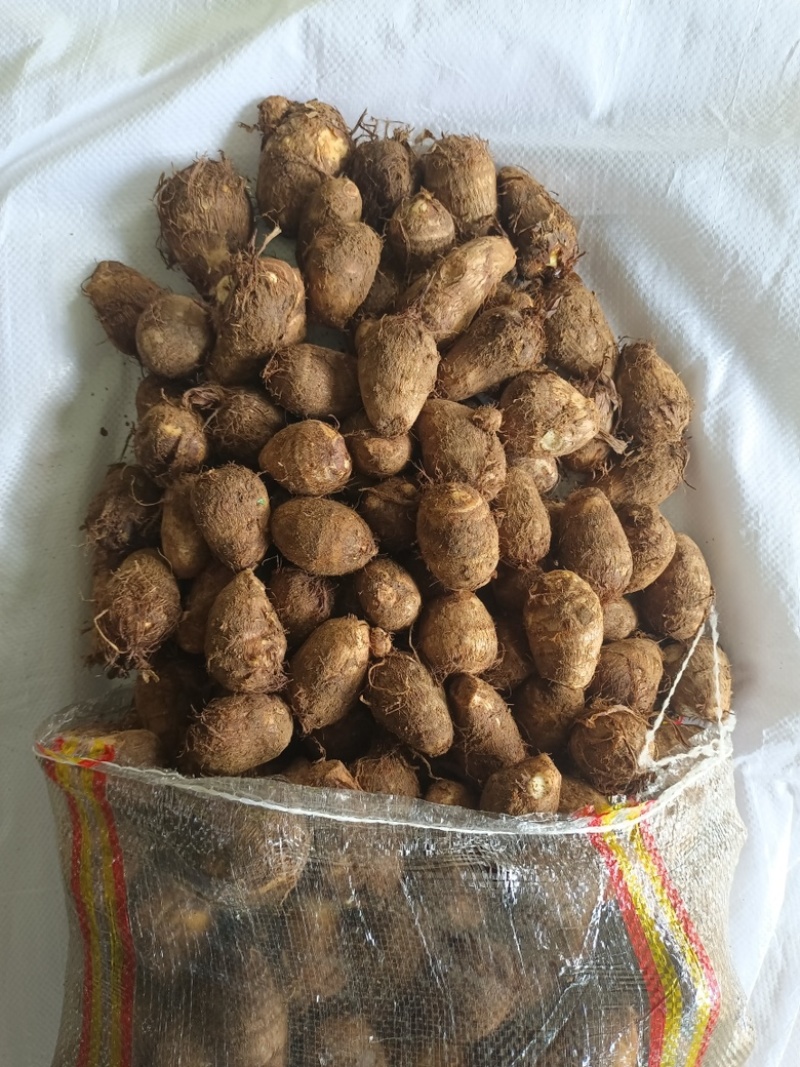 牛奶芋头口感细腻品质保证规格齐全量大从优！