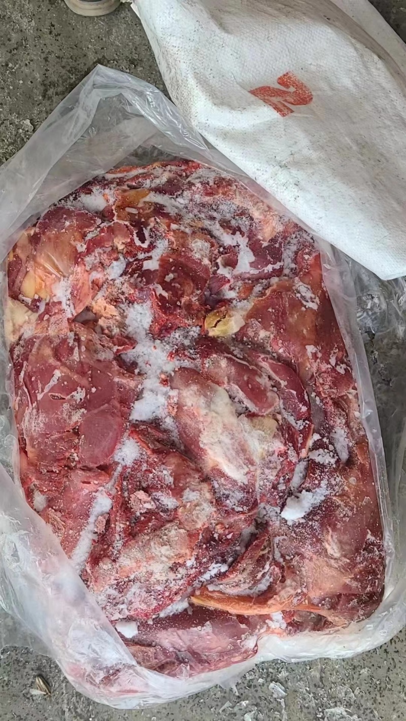 驴肉大量上市驴肉品质保证欢迎来电洽谈