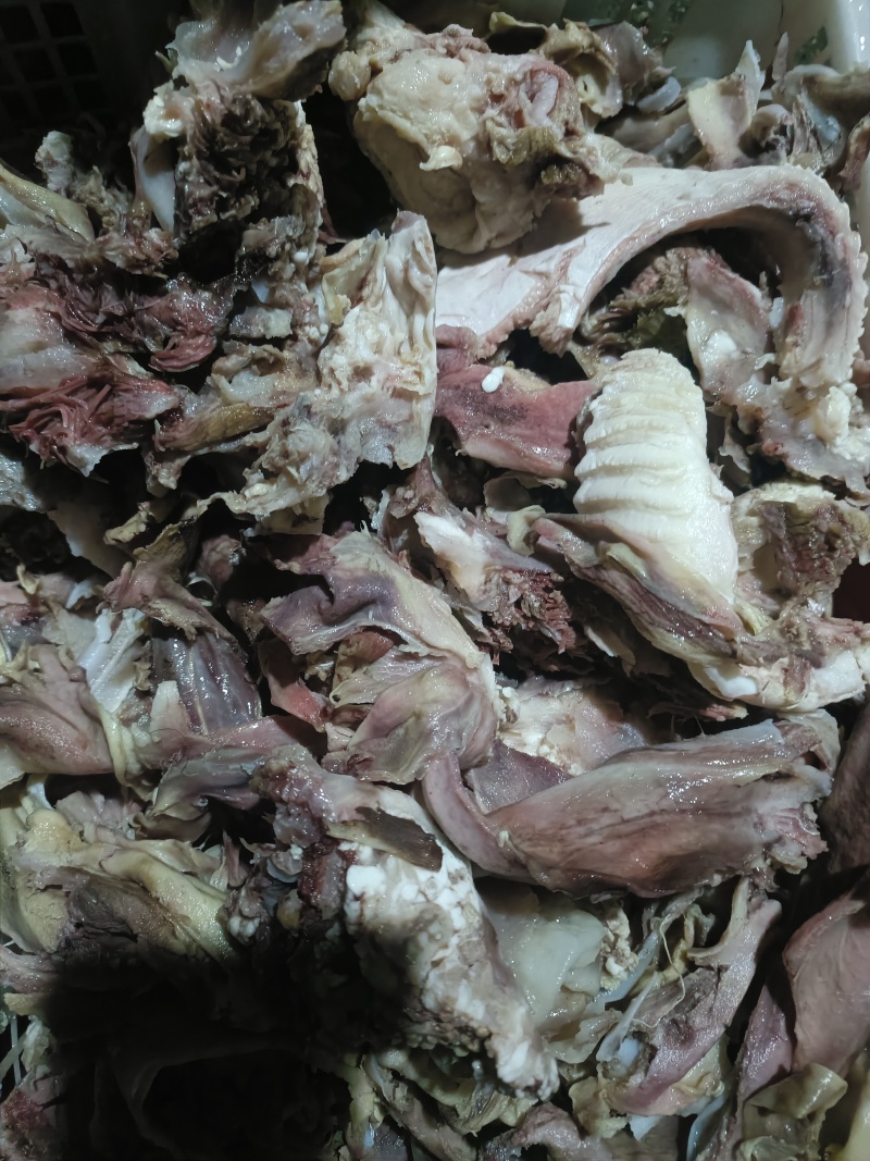 随时可聊产地直发新鲜牛头肉超高性价比享受美味