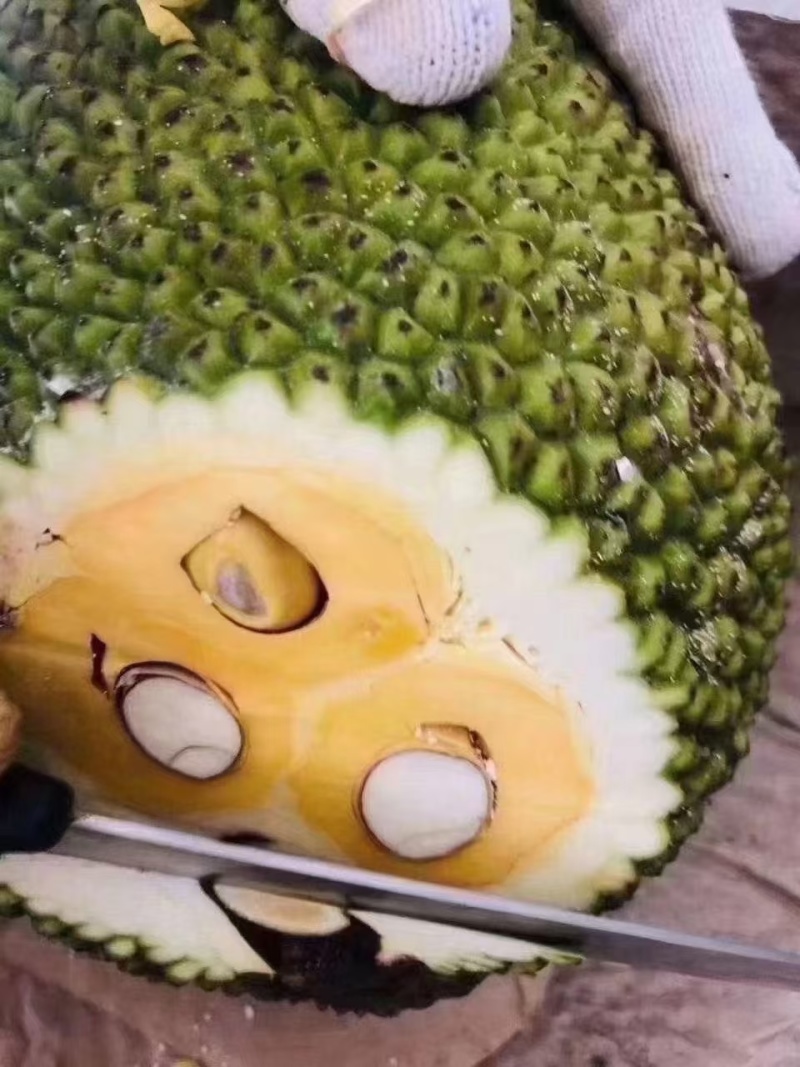 越南红肉菠萝蜜产地直发