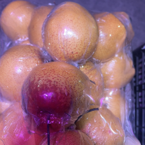 精品雪花梨