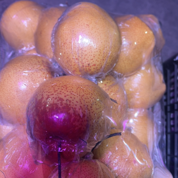 精品雪花梨