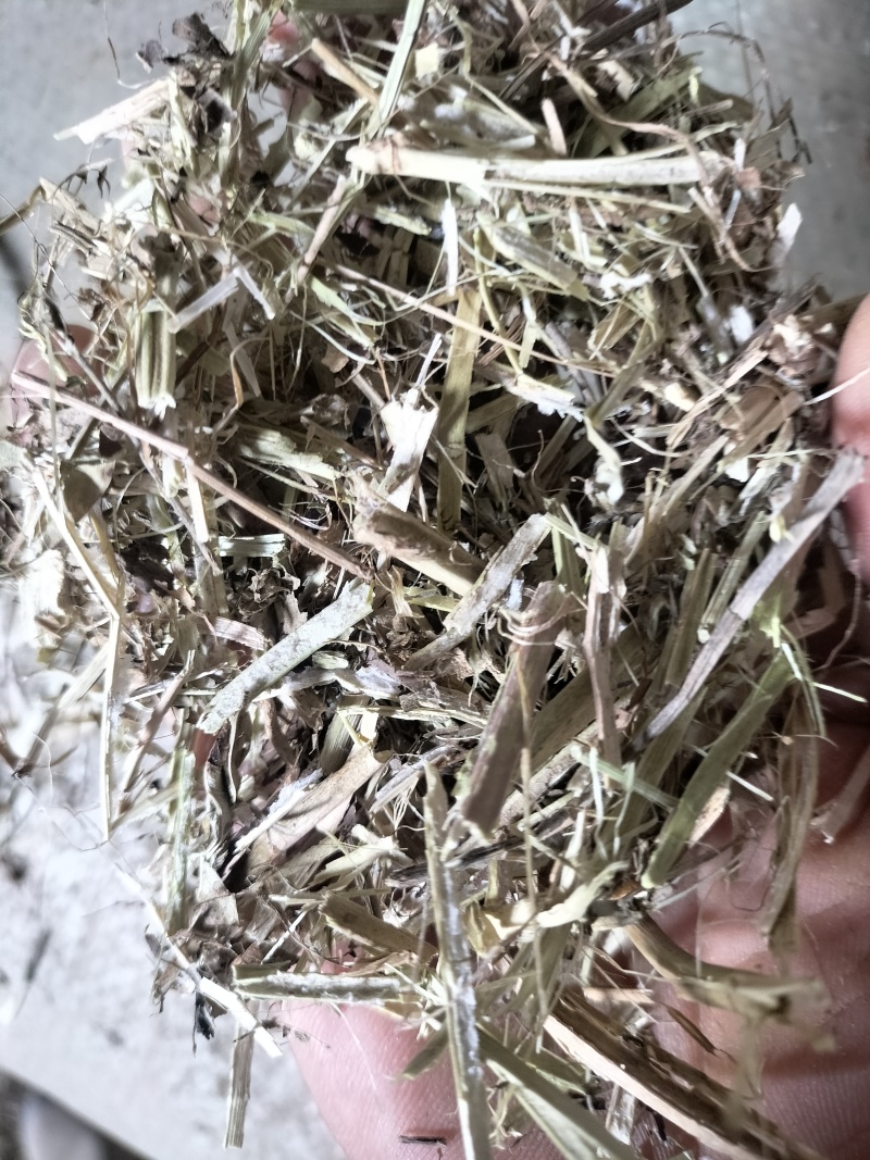 花生秧中小草