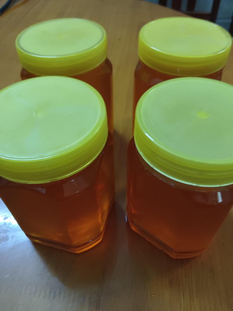野生蜂蜜，野生蜂蜜，好货，只有十几斤。