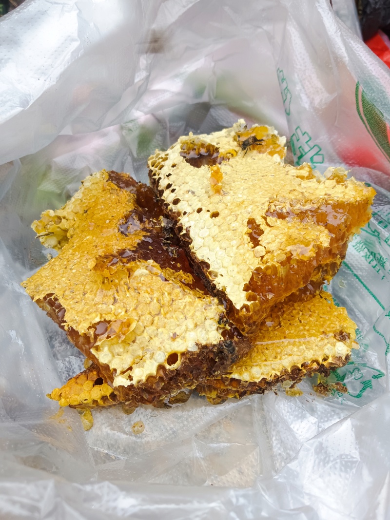 野生蜂蜜，野生蜂蜜，好货，只有十几斤。
