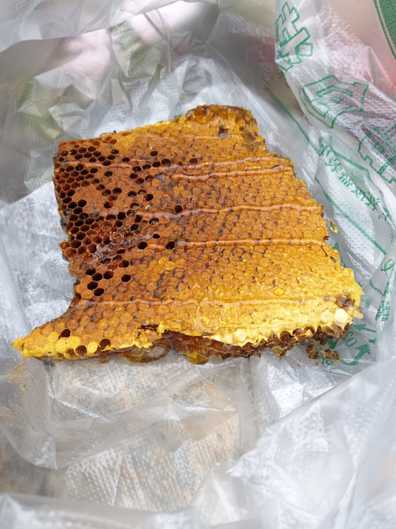 野生蜂蜜，野生蜂蜜，好货，只有十几斤。