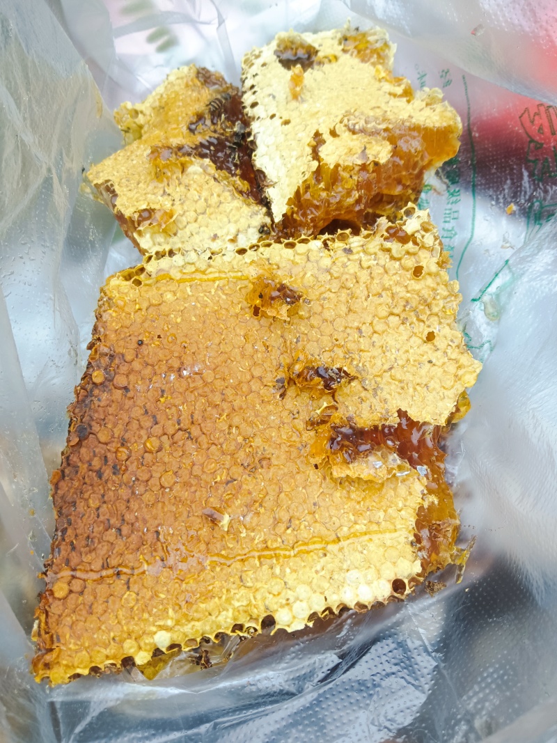 野生蜂蜜，野生蜂蜜，好货，只有十几斤。