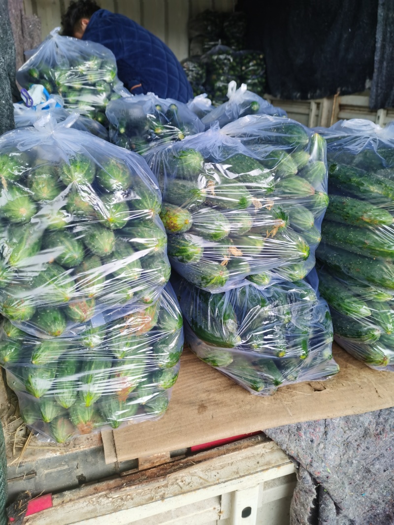 【推荐】塑料袋防雾袋全新料高透明质量保证农贸市场常用