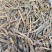 沙虫干淡干无沙公沙虫灰虫