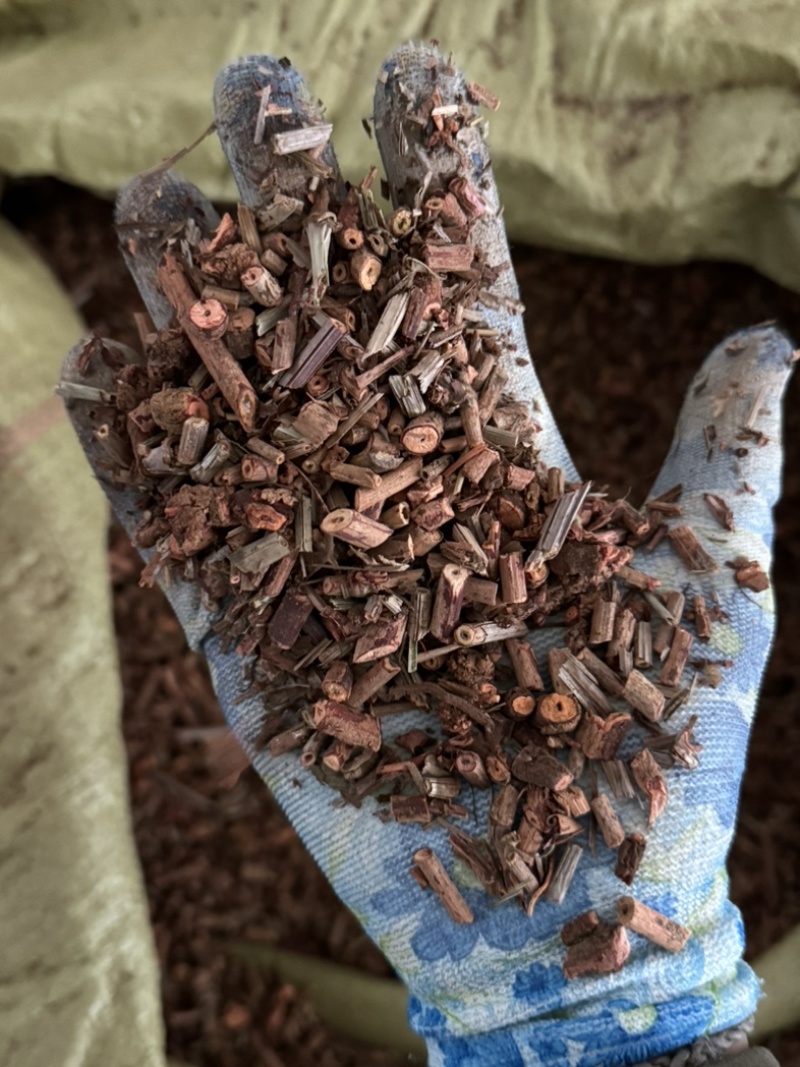 茜草纯根茜草实拍正品茜草发货如图过筛货