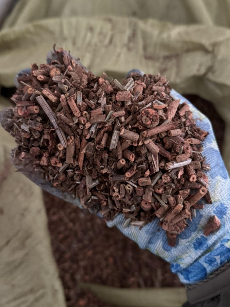 茜草纯根茜草实拍正品茜草发货如图过筛货