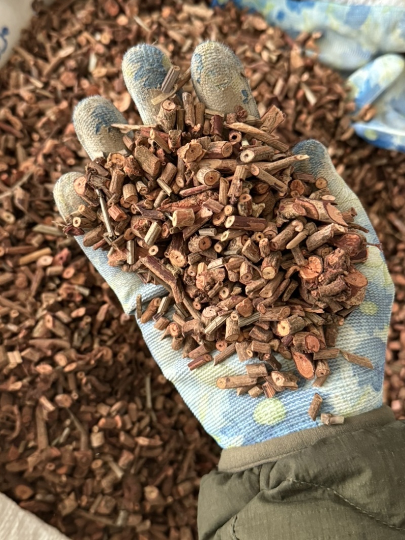 茜草纯根茜草实拍正品茜草发货如图过筛货