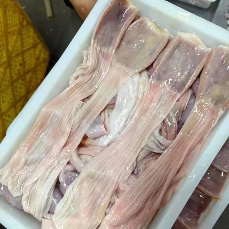 鸭食带
