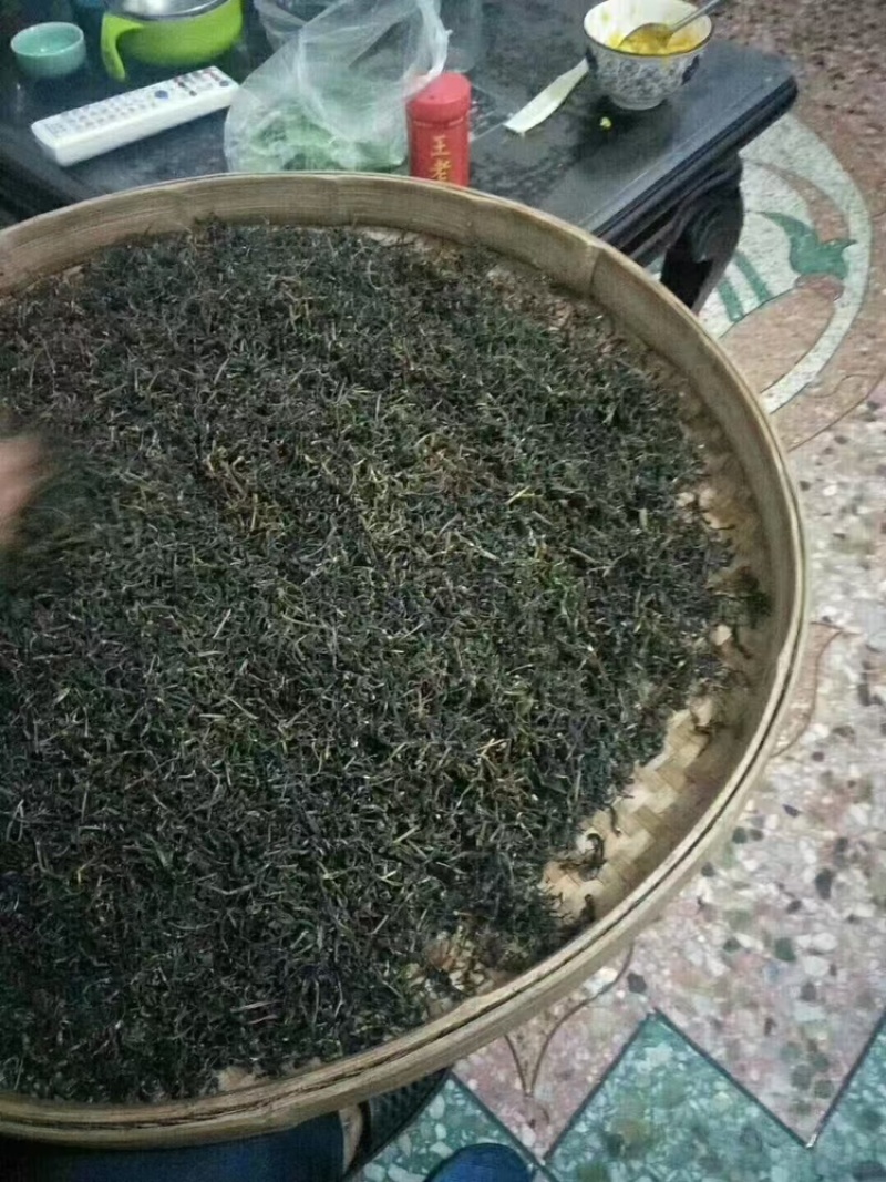 绿茶，山绿绿