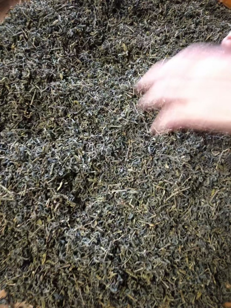 绿茶，山绿绿