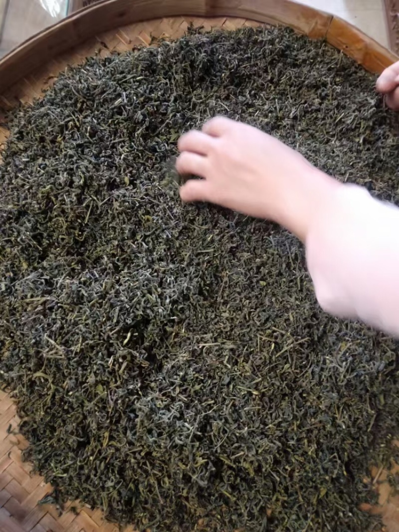 绿茶，山绿绿