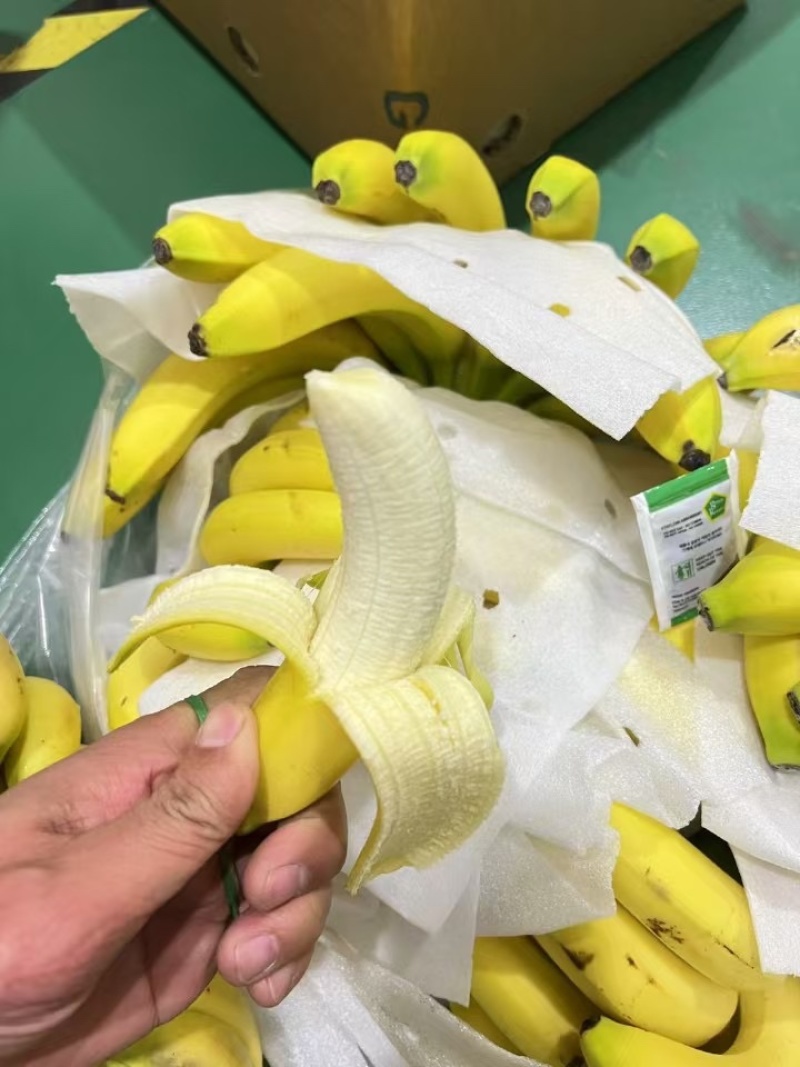 特价精品菲律宾进口香蕉、香甜软糯、保质保量、可发全国。