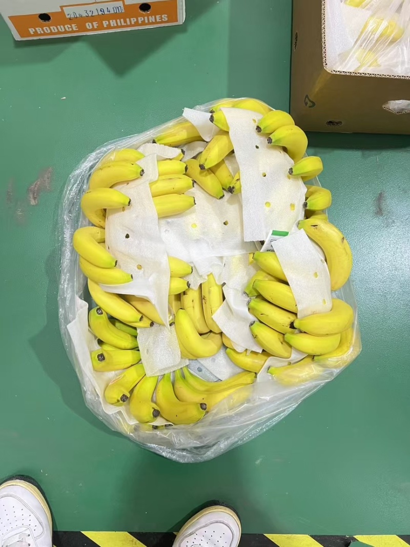 特价精品菲律宾进口香蕉、香甜软糯、保质保量、可发全国。