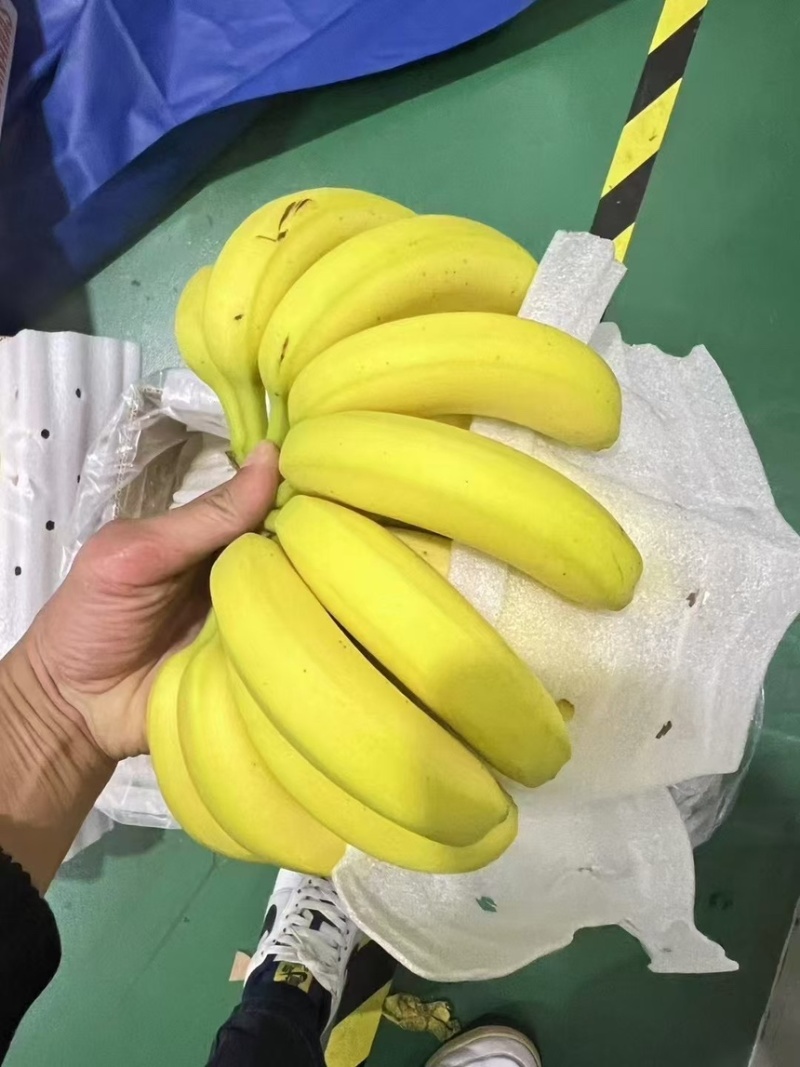 特价精品菲律宾进口香蕉、香甜软糯、保质保量、可发全国。