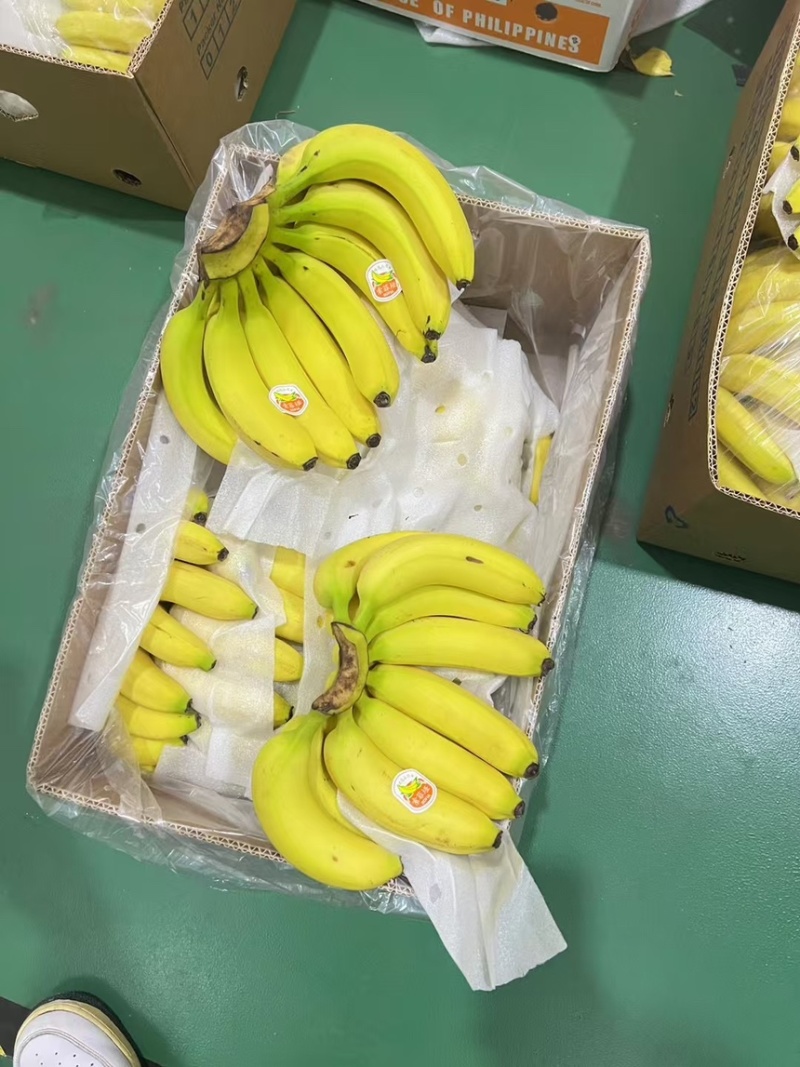 特价精品菲律宾进口香蕉、香甜软糯、保质保量、可发全国。