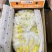 特价精品菲律宾进口香蕉、香甜软糯、保质保量、可发全国。