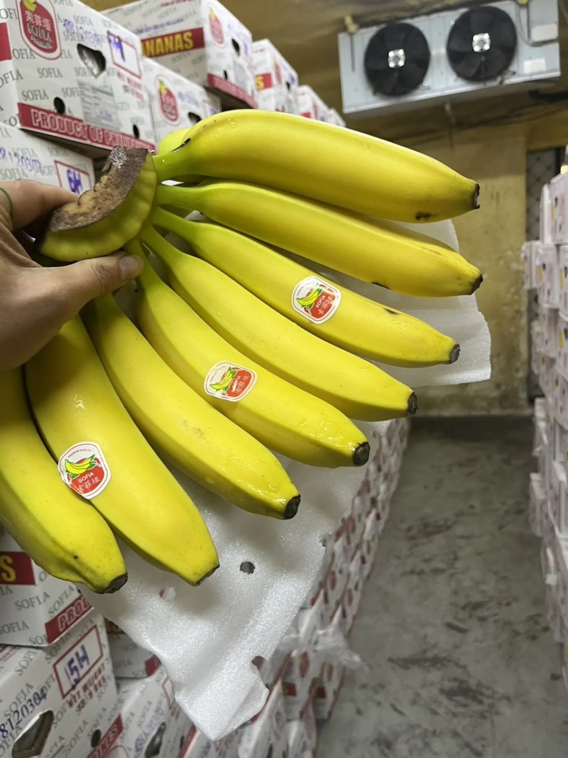 特价精品菲律宾进口香蕉、香甜软糯、保质保量、可发全国。