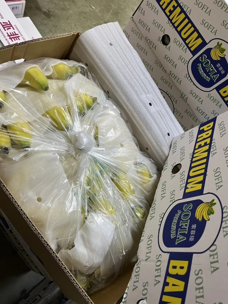 特价精品菲律宾进口香蕉、香甜软糯、保质保量、可发全国。