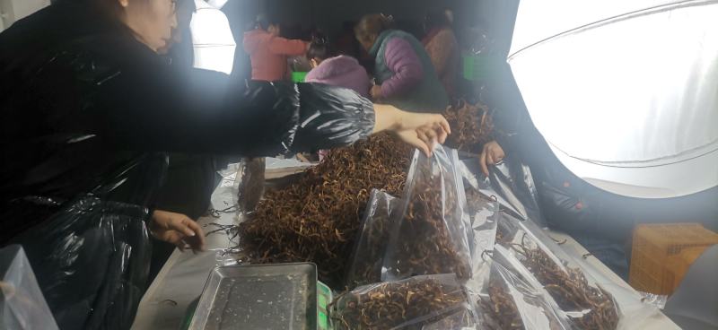 地方特色秦岭味道手工太阳嗮菜花干，特价热销中