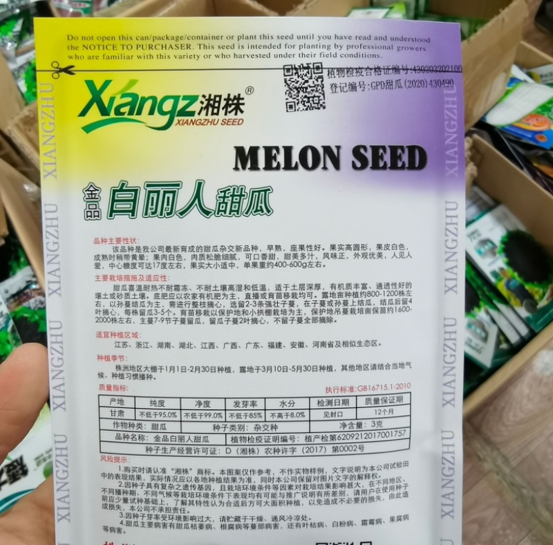白丽人甜瓜种子早熟肉质细腻香甜可口糖度17左右