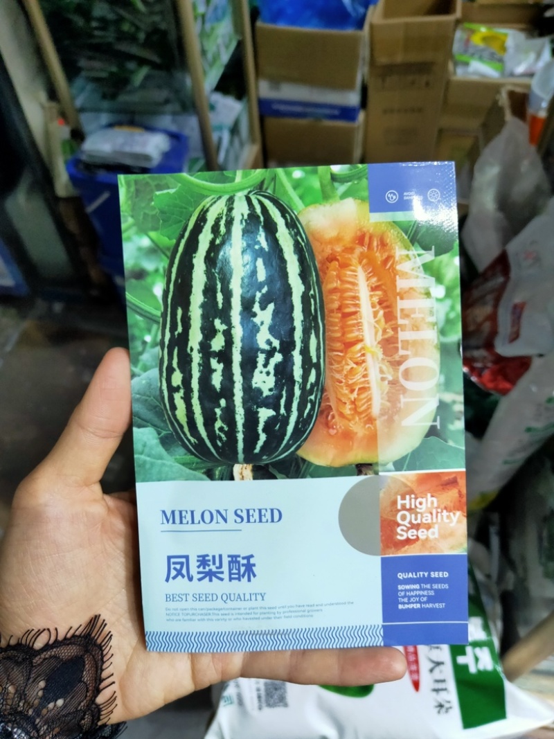 凤梨酥花皮甜瓜种子梨瓜种子农家庭院种植水果种子