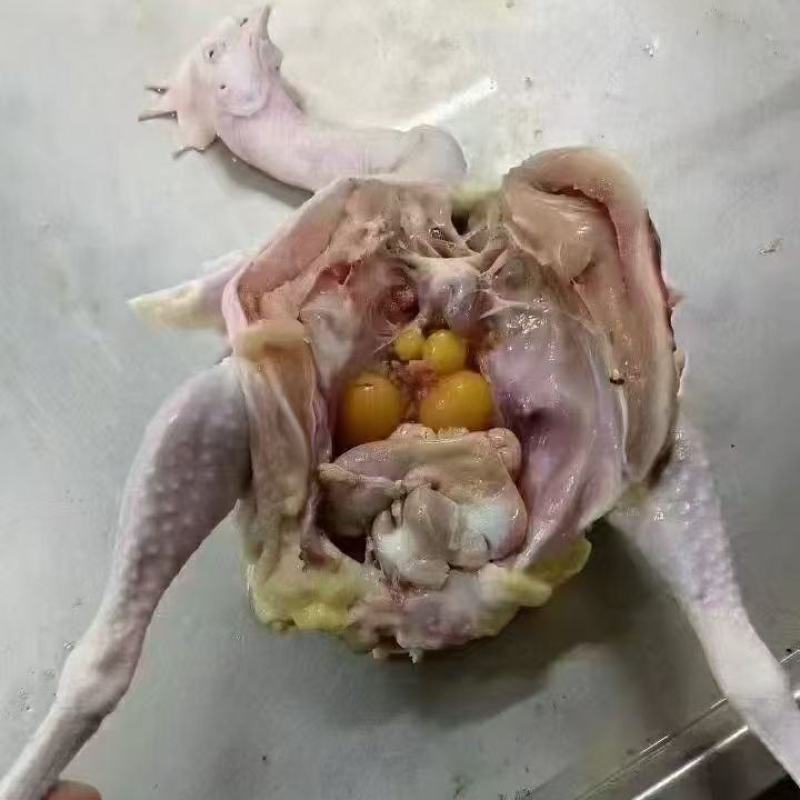 真空老母鸡规格齐全，库存量大