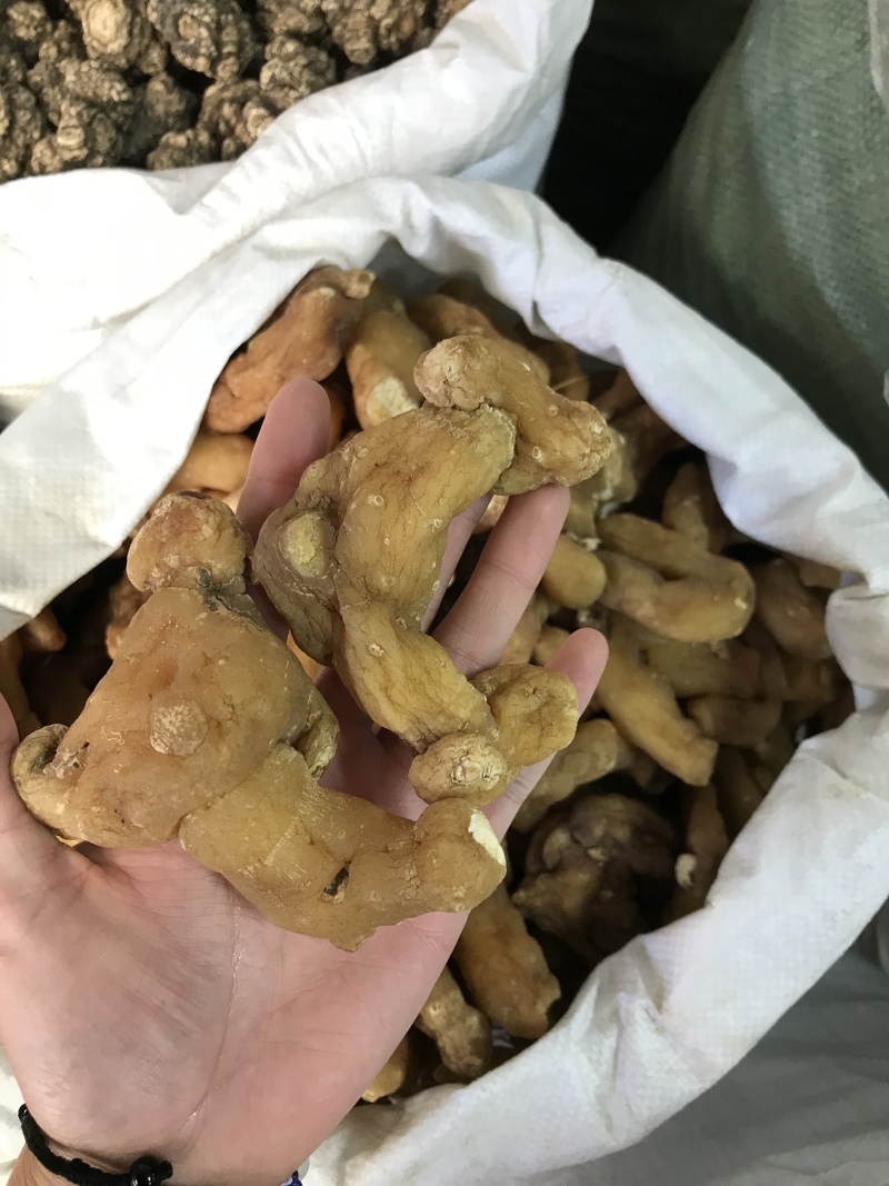 滇黄精姜黄精现货秒发质量保证量大价优