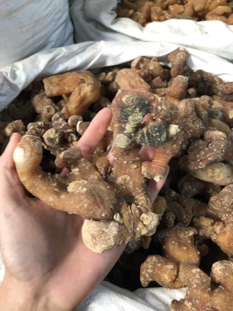 滇黄精姜黄精现货秒发质量保证量大价优