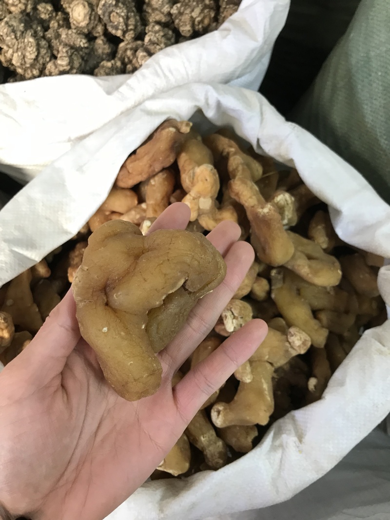 滇黄精姜黄精现货秒发质量保证量大价优