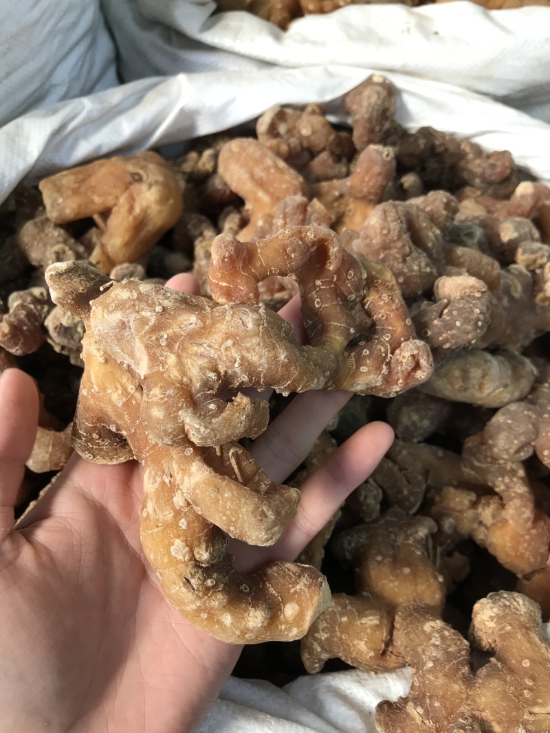 滇黄精姜黄精现货秒发质量保证量大价优