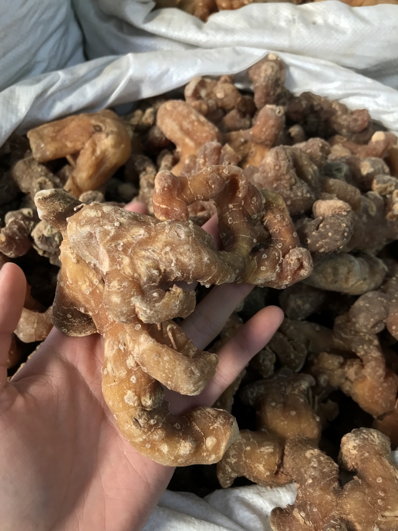 滇黄精姜黄精现货秒发质量保证量大价优