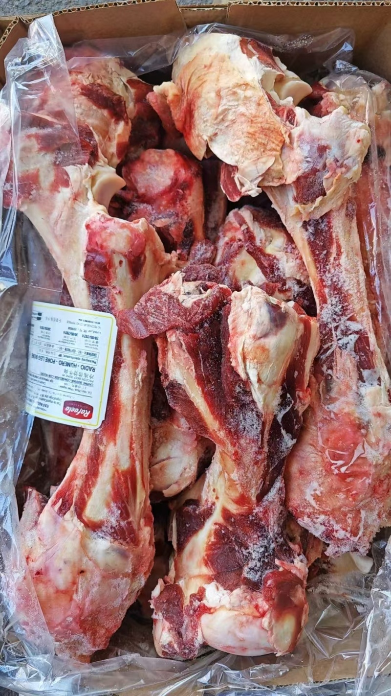 带肉牛腿骨