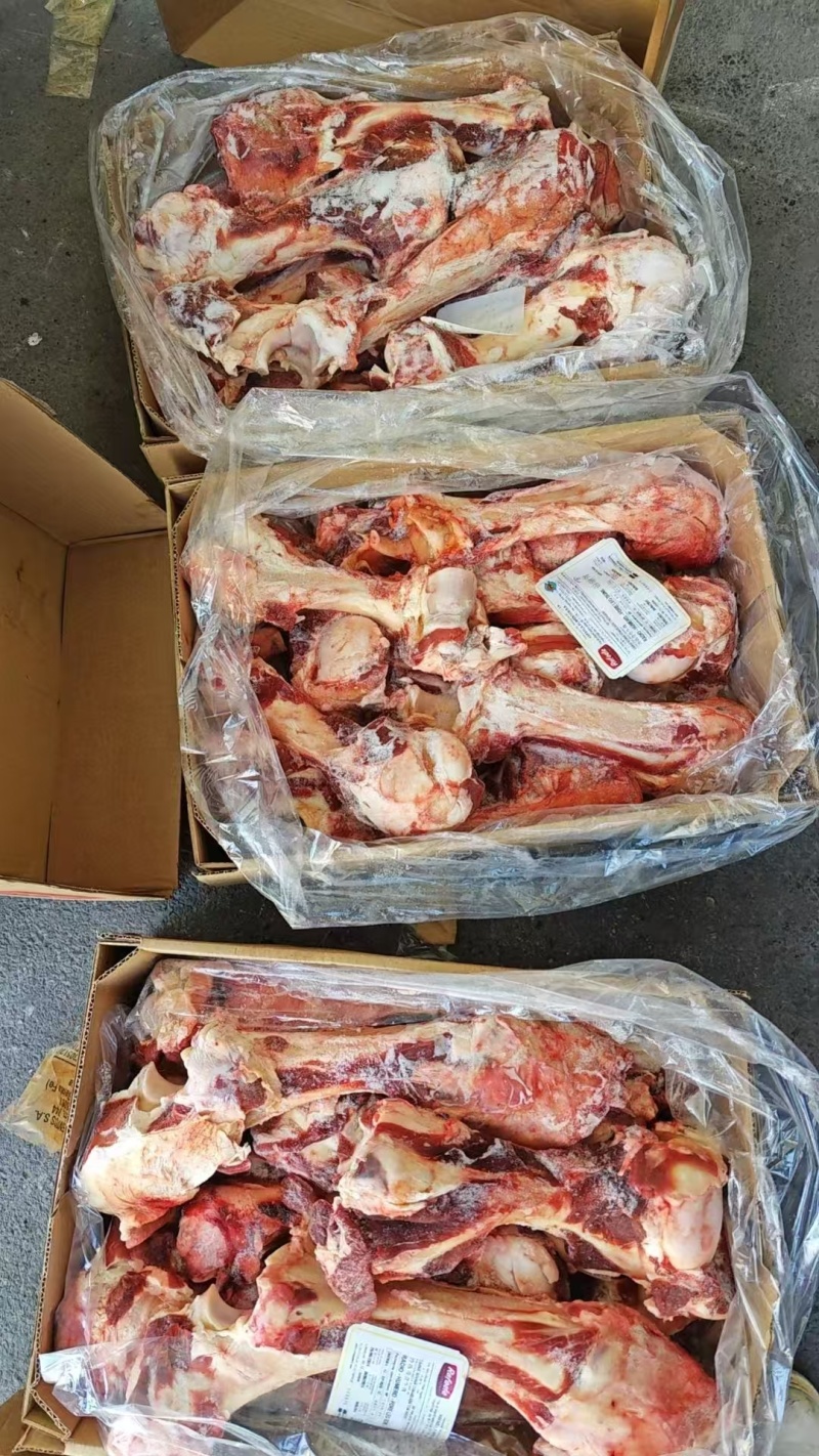带肉牛腿骨