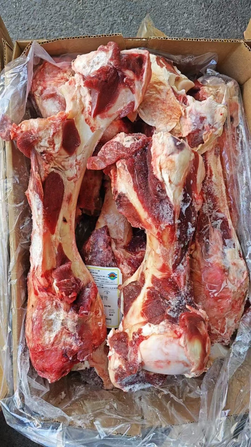 带肉牛腿骨