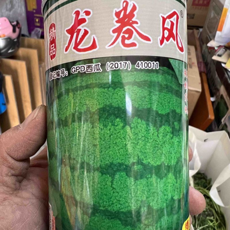 【精品】龙卷风西瓜种子河南农大豫艺种业出品