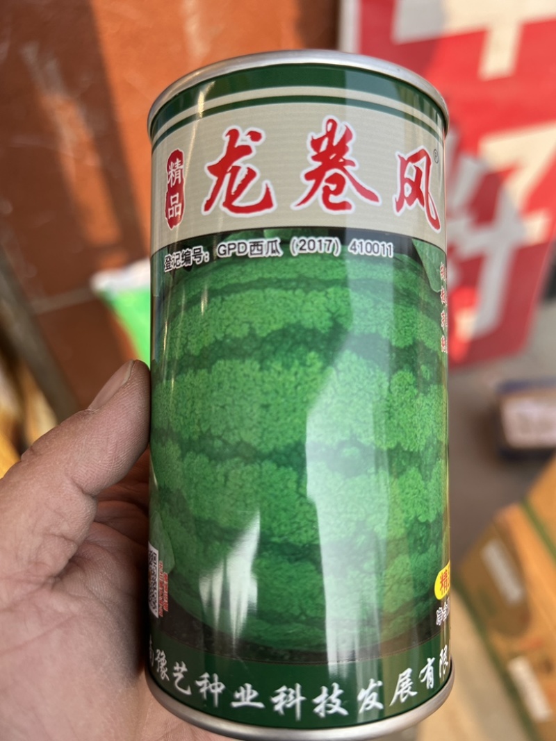 【精品】龙卷风西瓜种子河南农大豫艺种业出品