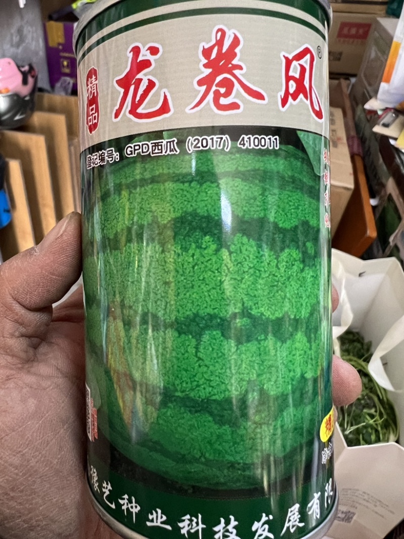 【精品】龙卷风西瓜种子河南农大豫艺种业出品