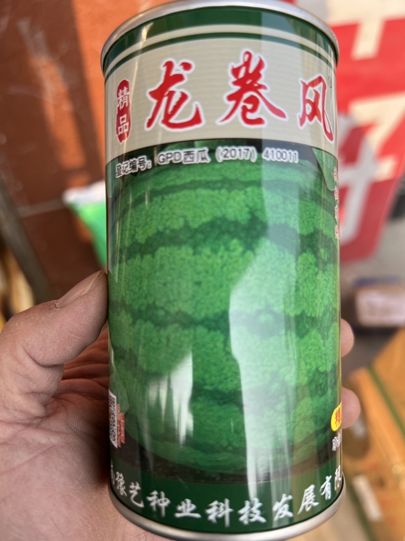 【精品】龙卷风西瓜种子河南农大豫艺种业出品