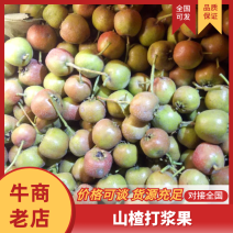 山楂打浆果切片果药材片罐头果蜜大量上市