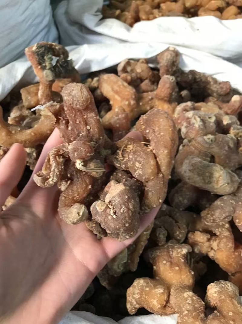 滇黄精姜黄精一手货源质量保证价格优惠
