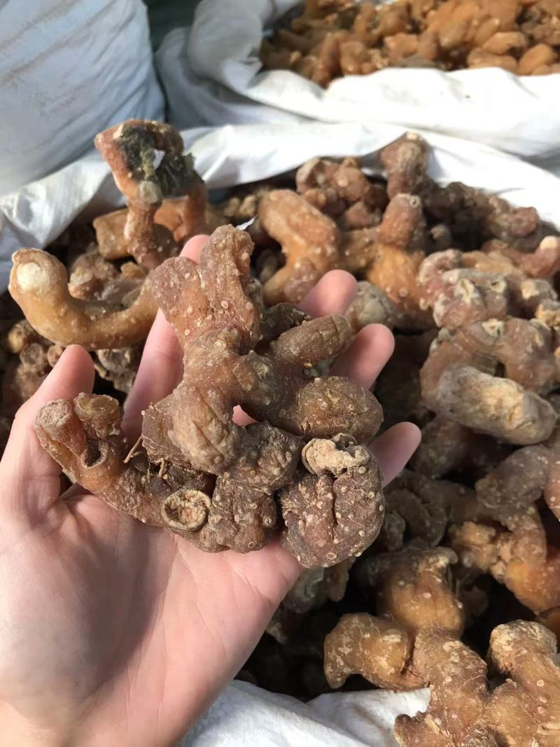滇黄精姜黄精一手货源质量保证价格优惠