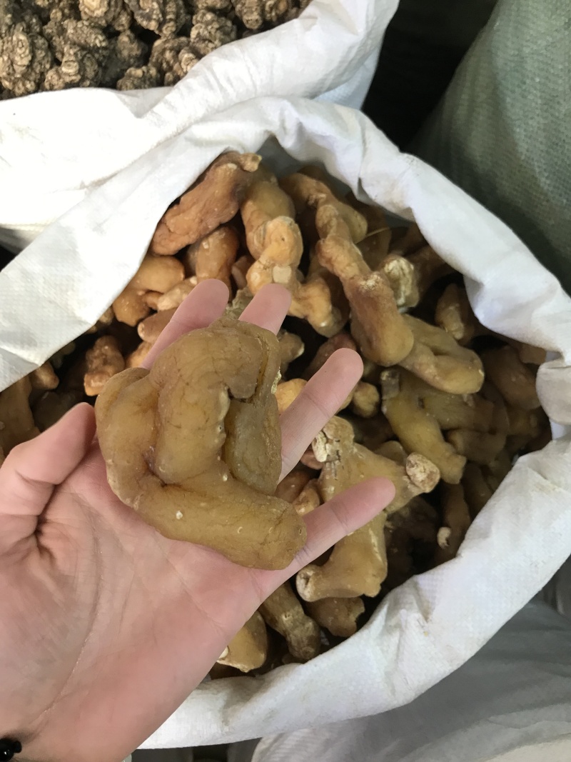 滇黄精姜黄精一手货源质量保证价格优惠