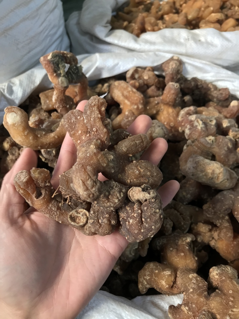 滇黄精姜黄精一手货源质量保证价格优惠