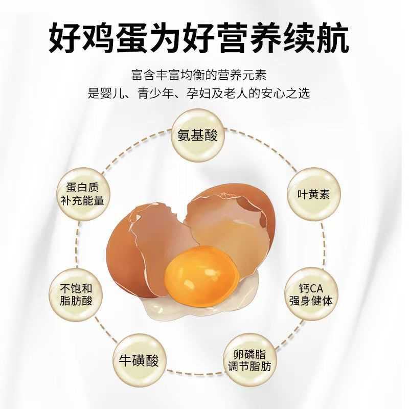 【推荐】鸡蛋柴鸡蛋零售批发养殖场一手货源全国发货价格便宜