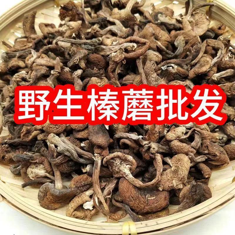 东北野生榛蘑批发特级榛蘑菇小鸡炖蘑菇长白山发货【只卖真榛